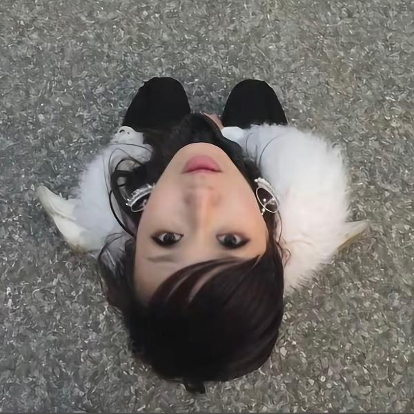猪咪的牙