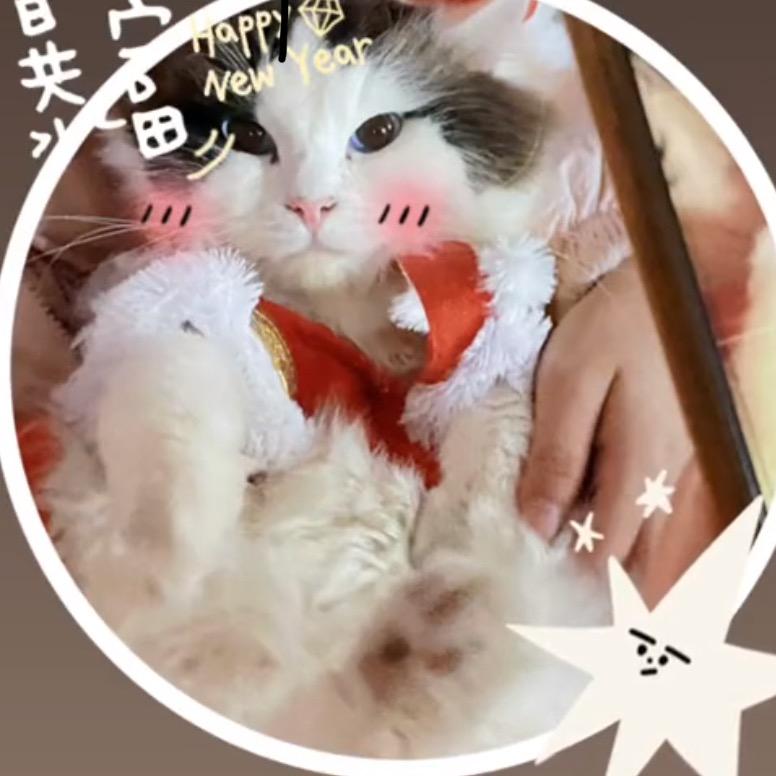 涵涵