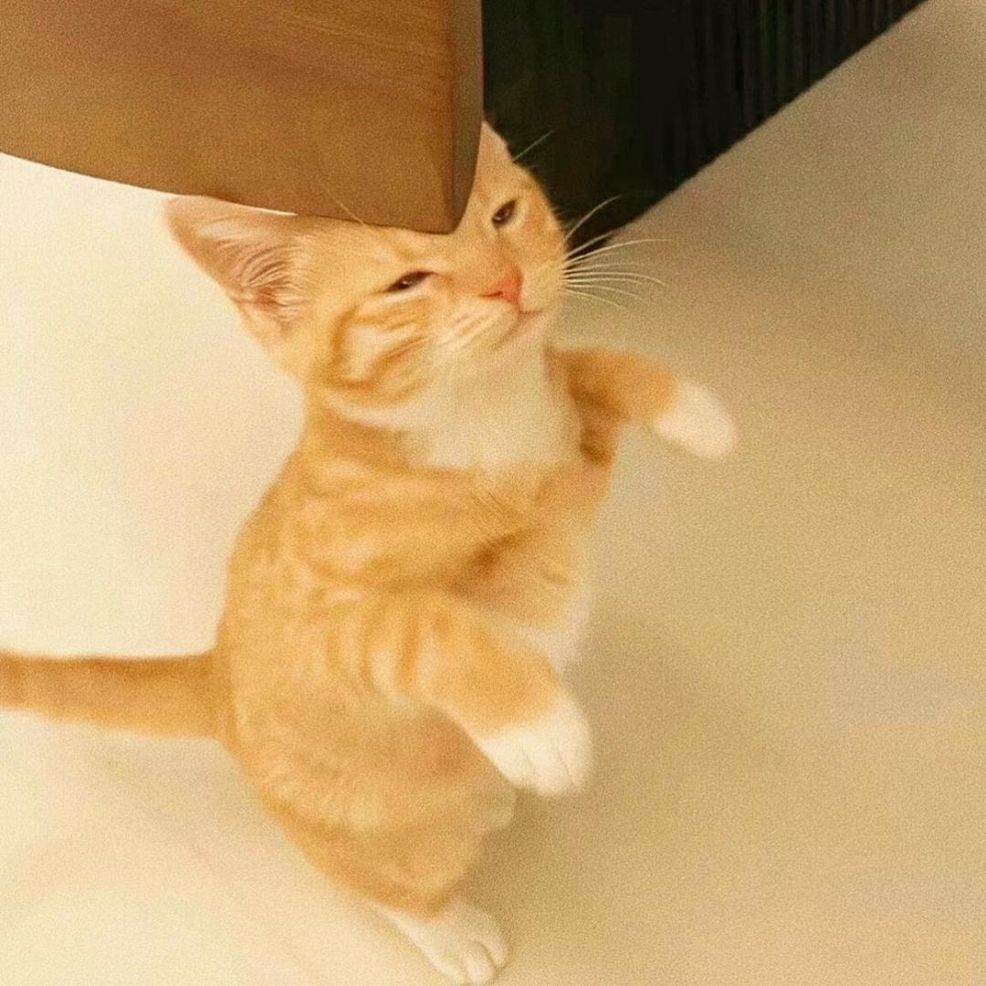 in