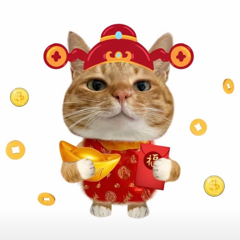 装萌被打掉两颗门牙