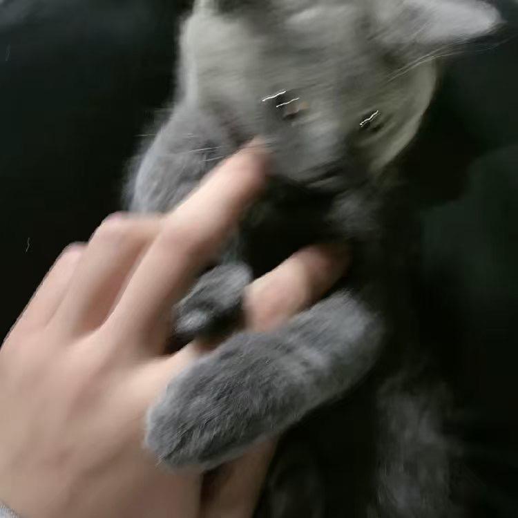 小泉.