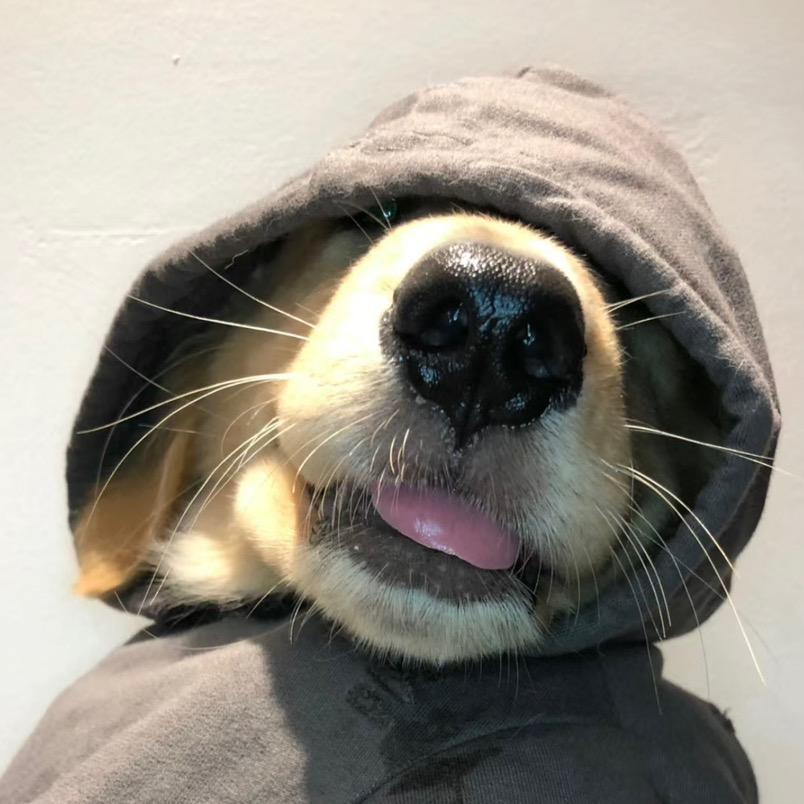 Sukk