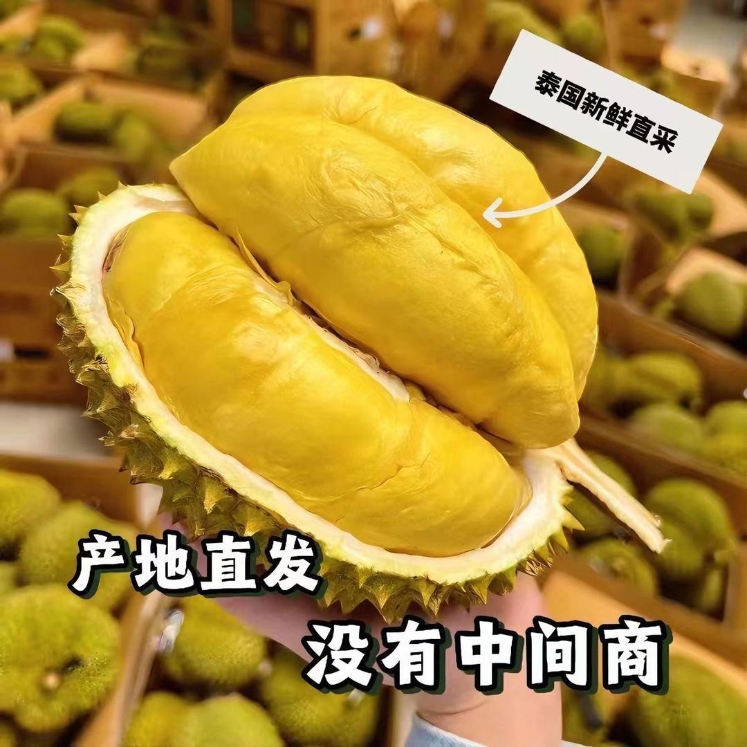 花音谷书文果树苗木专卖店
