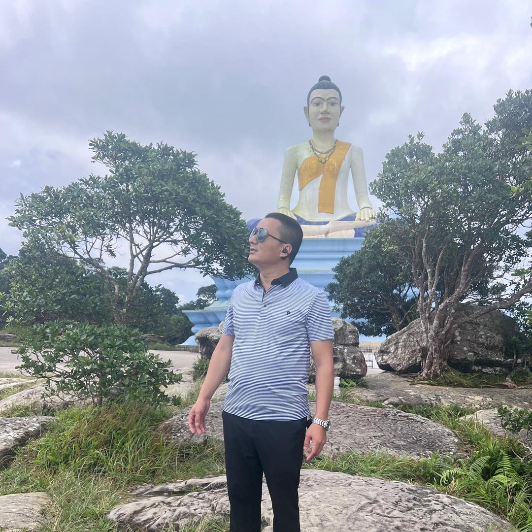 远方的菩提