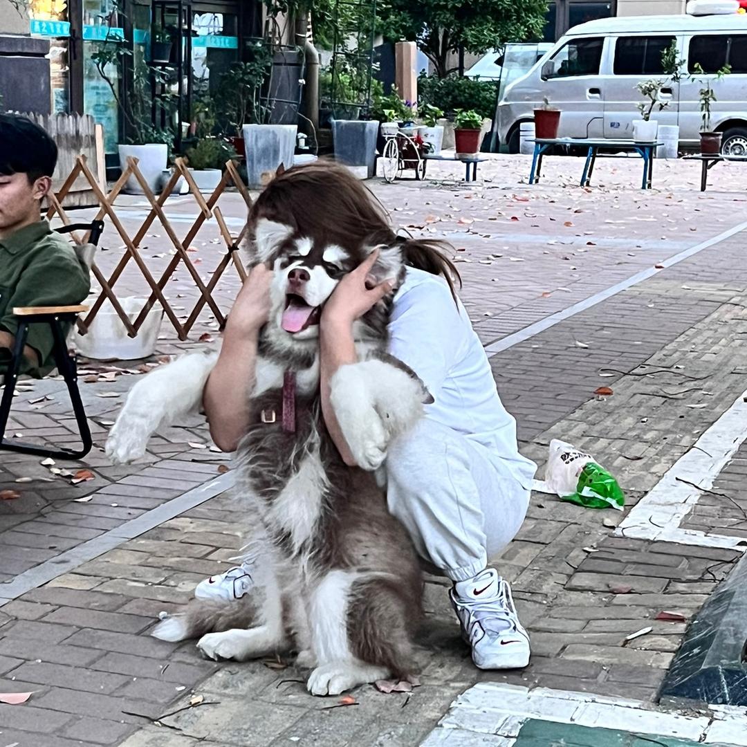 我去前方探探路