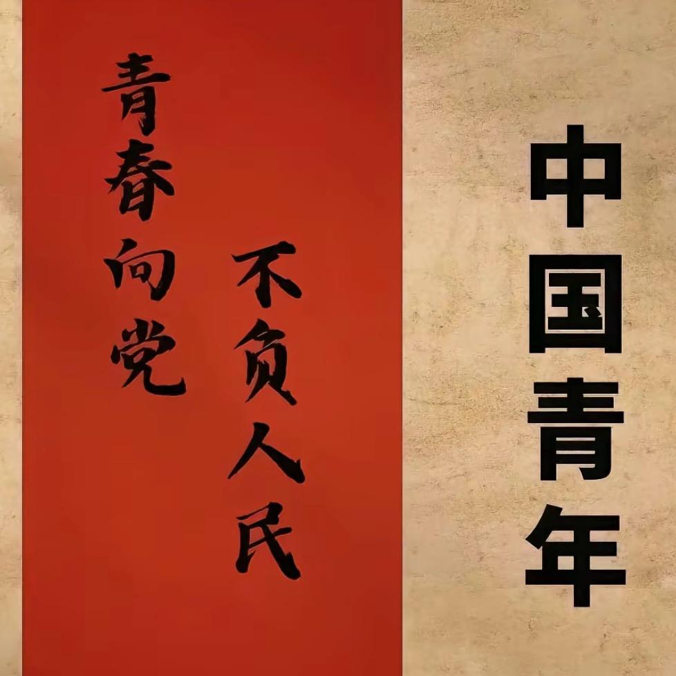 最不爱刷视频