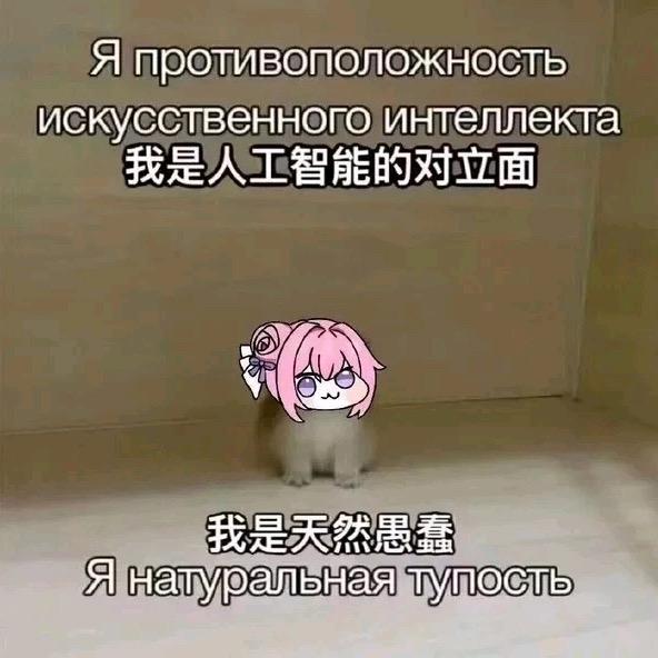 小帕
