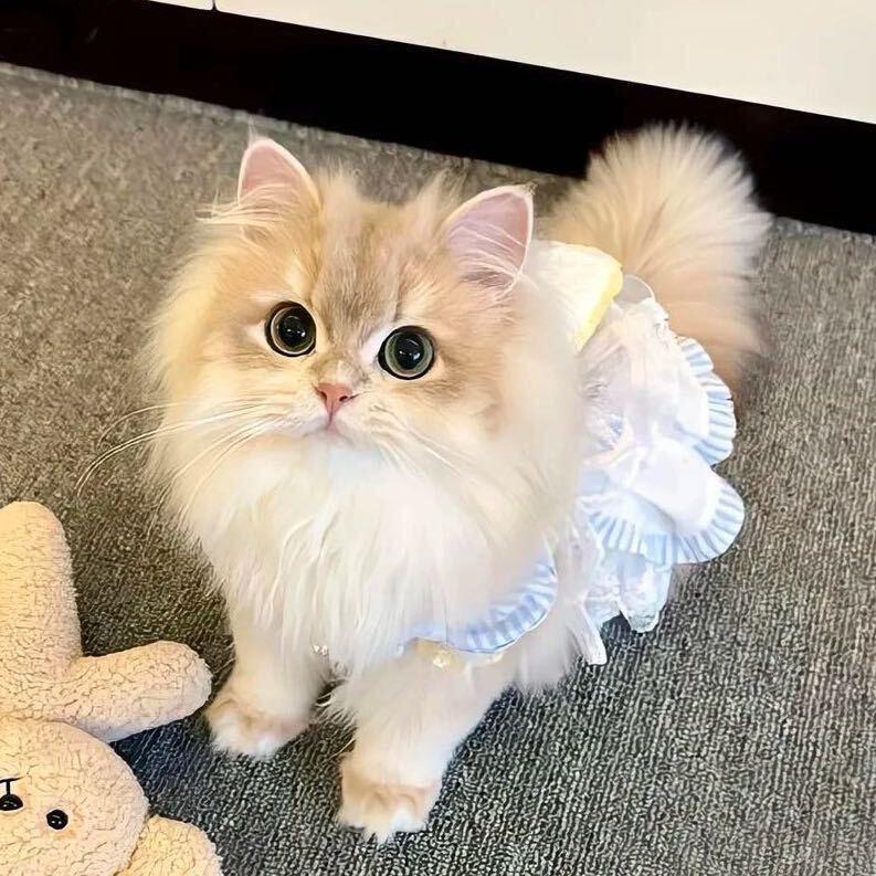 麻辣公主
