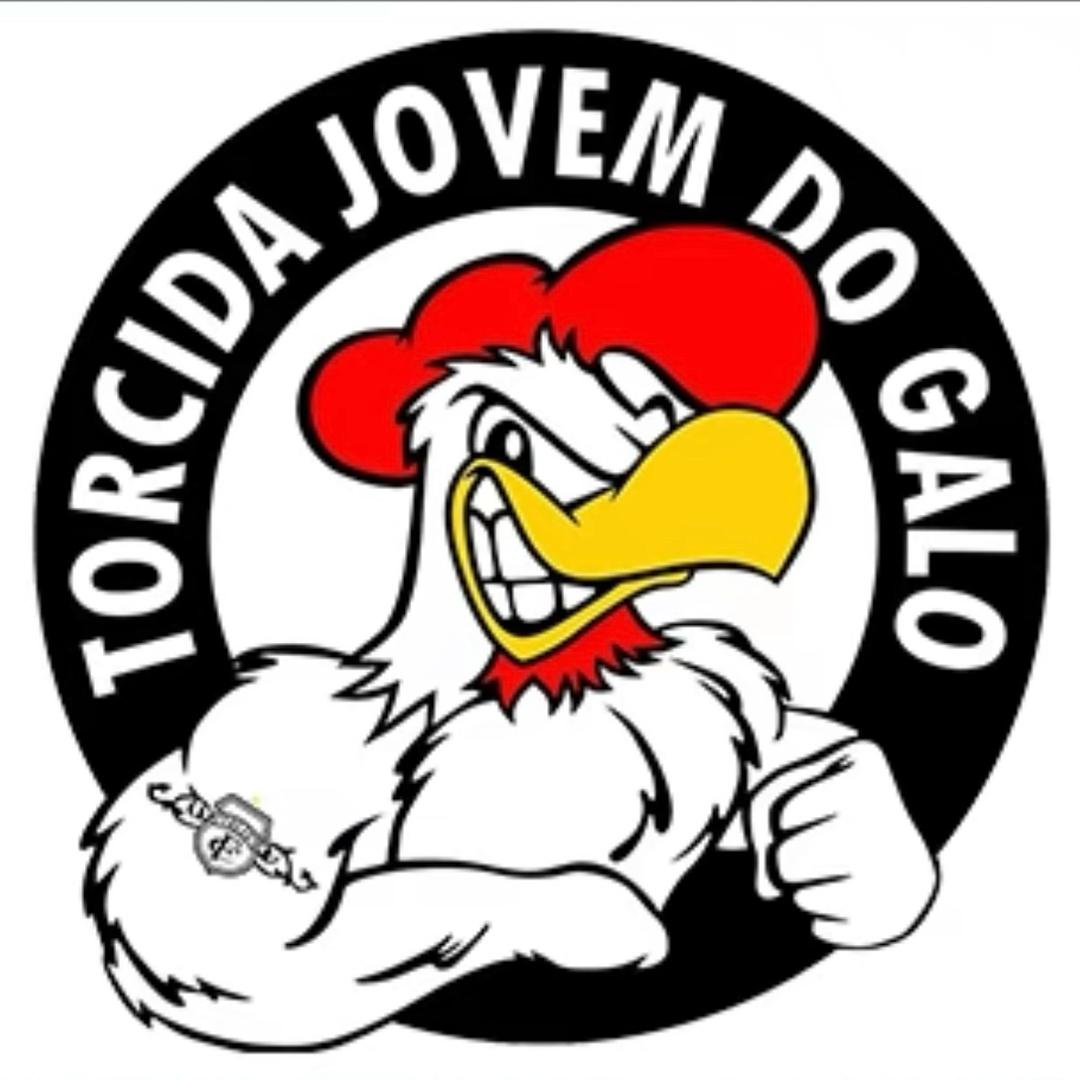 抢占鲜鸡.炒鸡手擀面