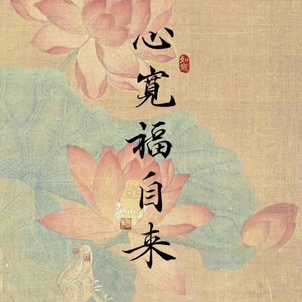 毛豆喂养记