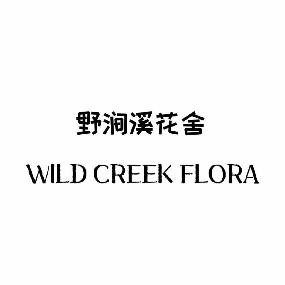 WILD CREEK  丨 野涧溪