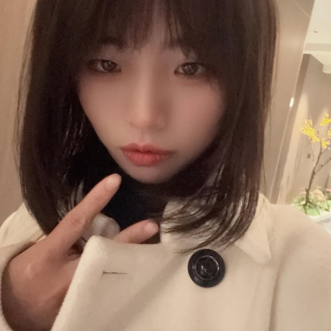 丹丹19