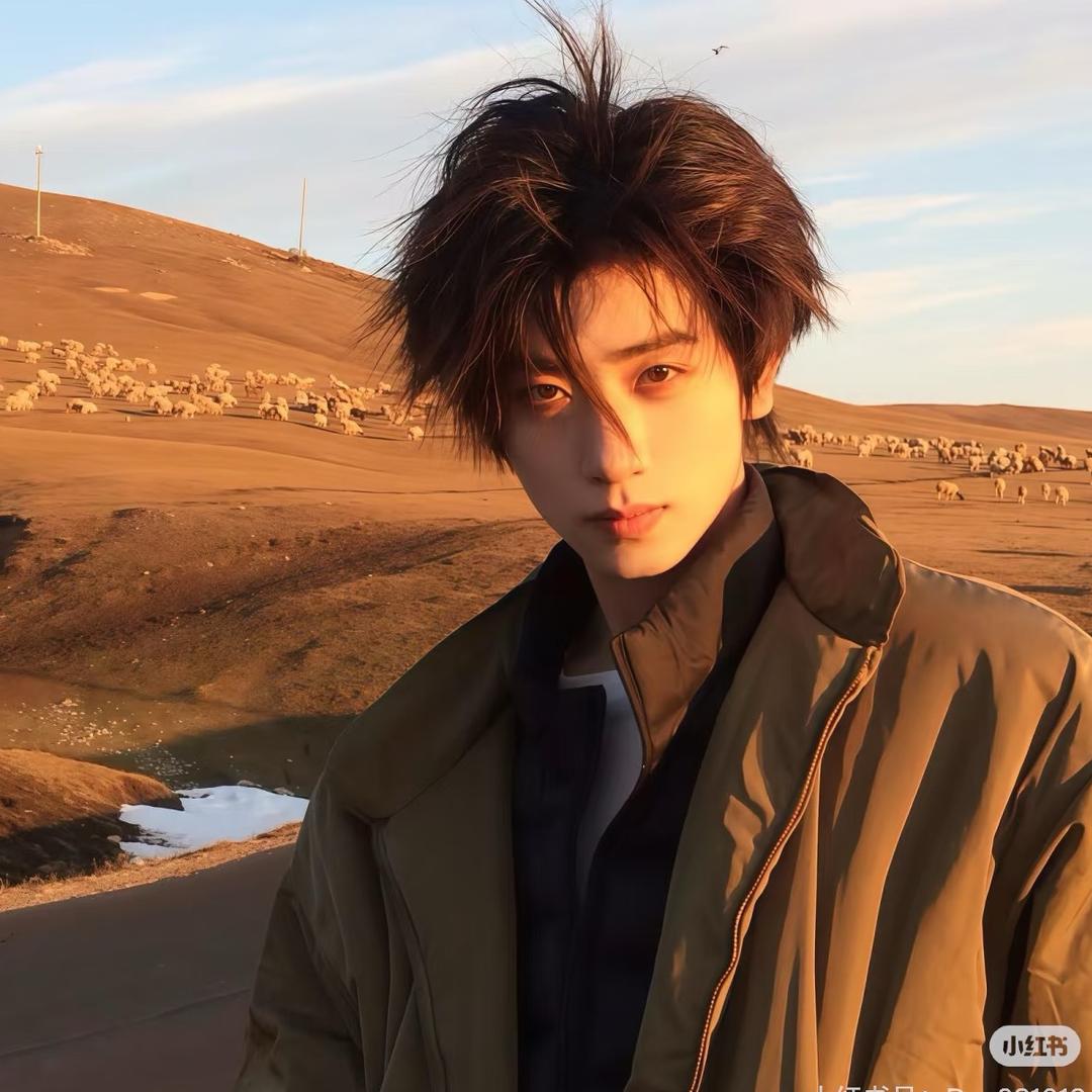 长安某（看过邓紫棋演唱会4次版）