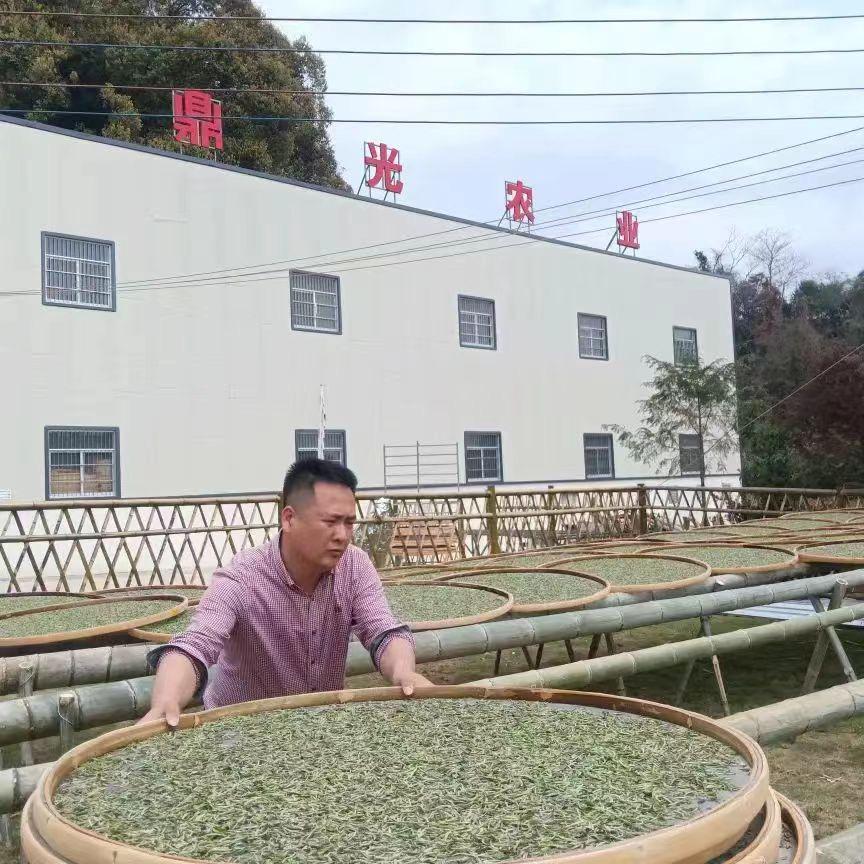 福鼎磻溪五山韵茶厂
