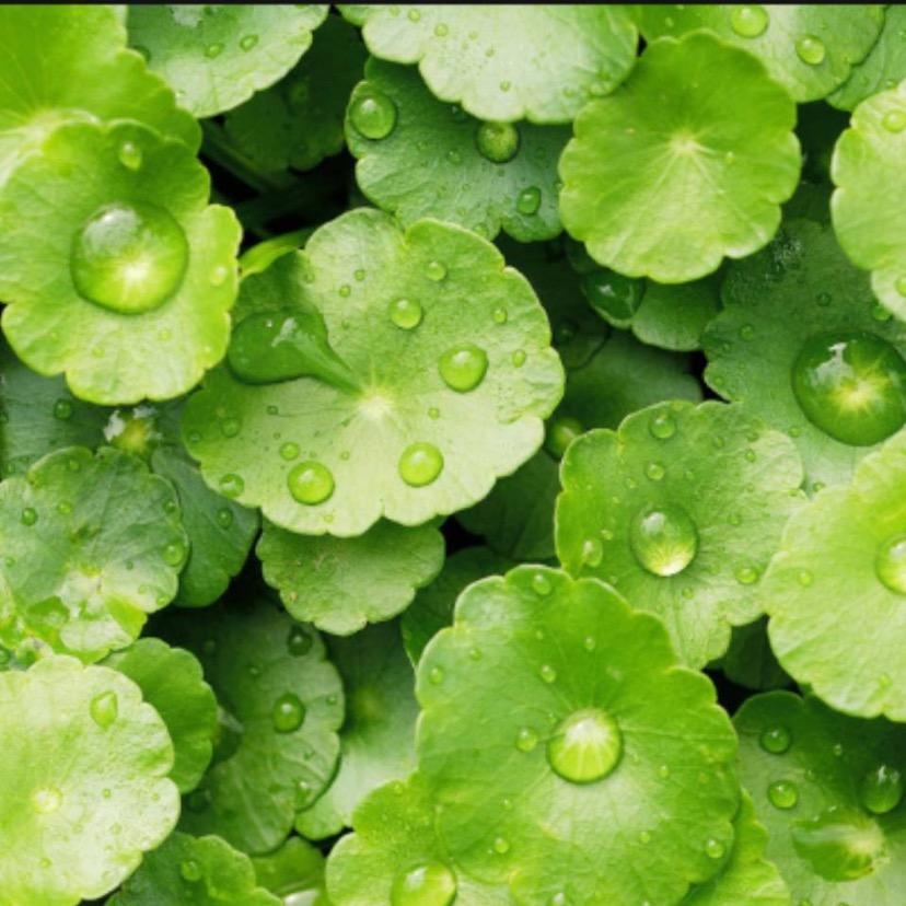 杨光下的田小丁