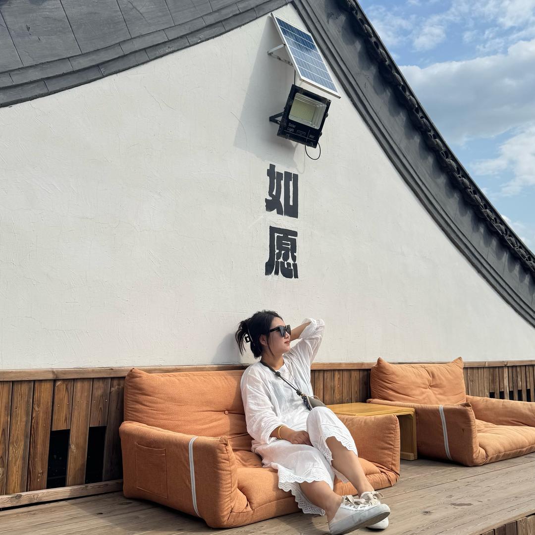 赵大脸💋德文卷毛猫