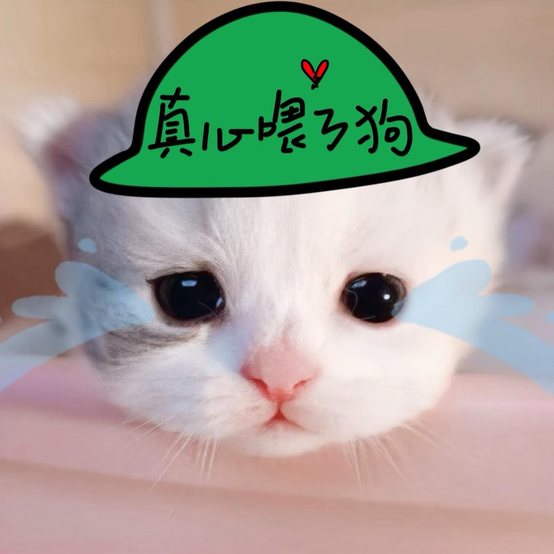 真心喂了狗