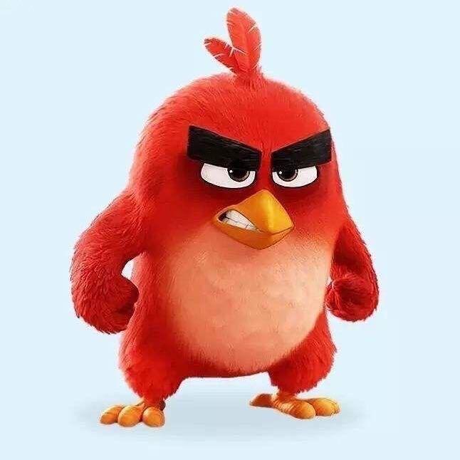 懒觉
