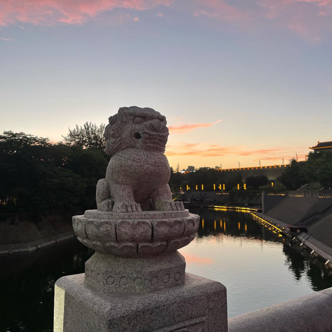 Terman（无畏契约）