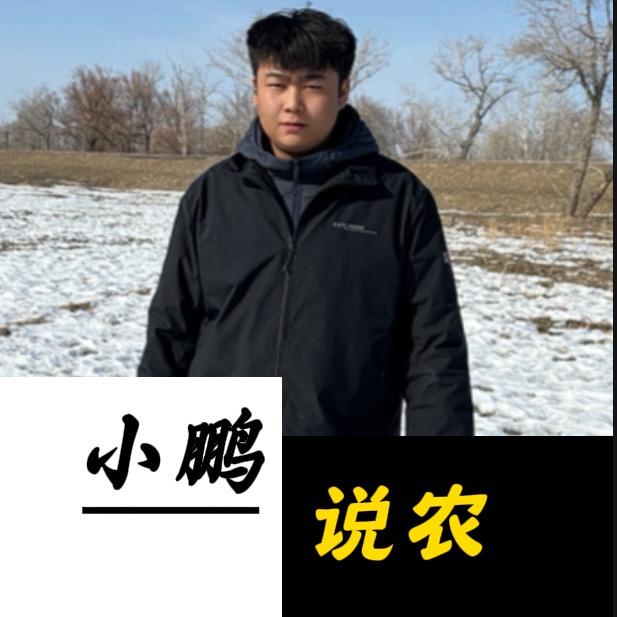 北屯农资小鹏讲葵花🌻