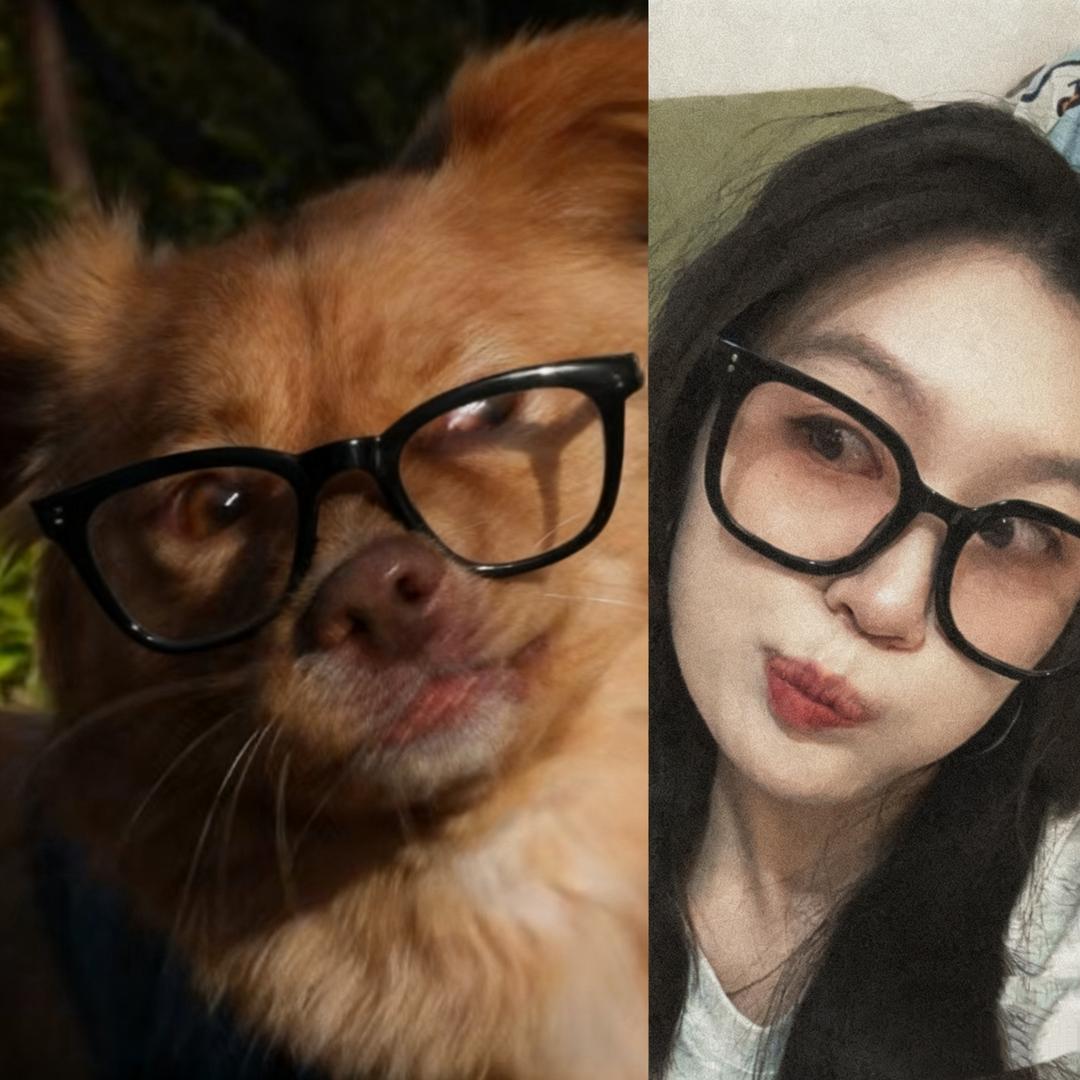 还不拜见小狗大王