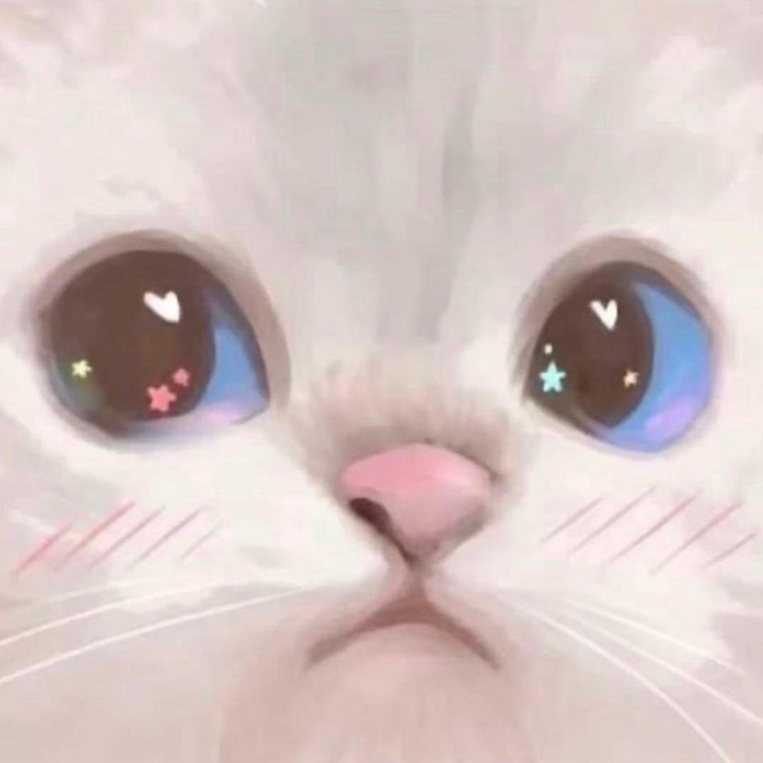 不锈钢甜妹