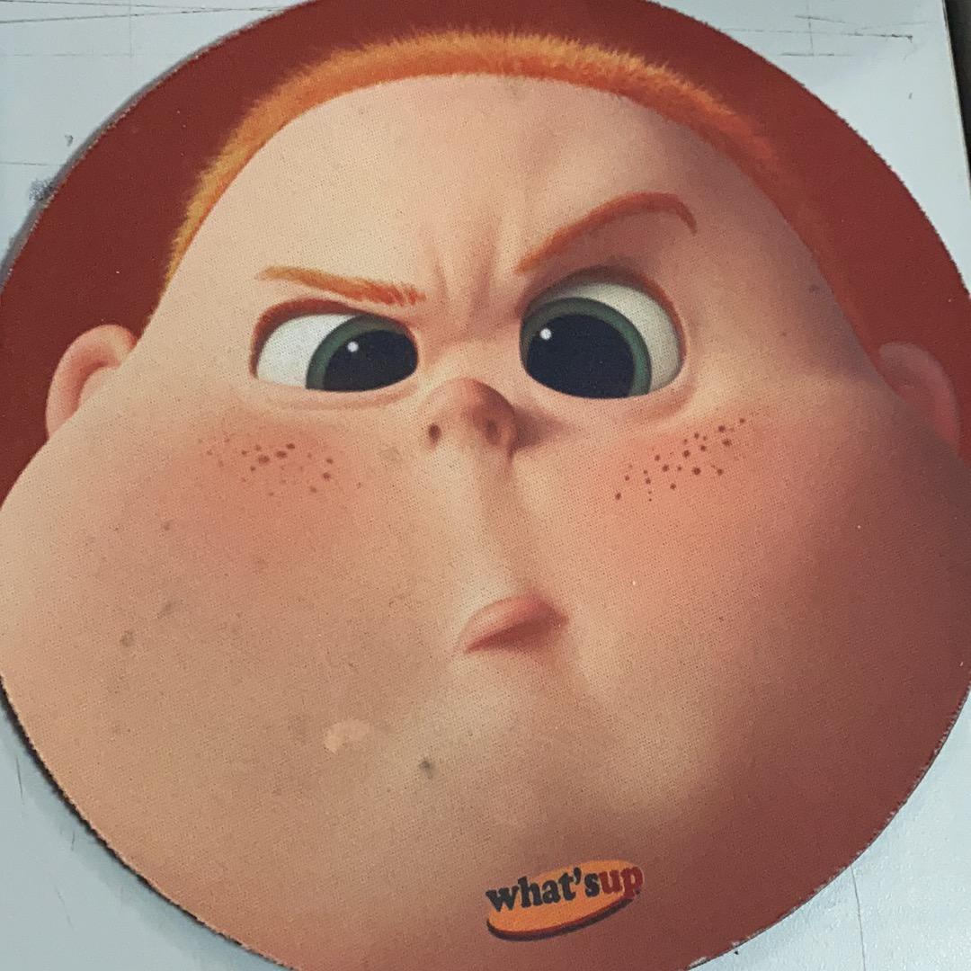 豪豪