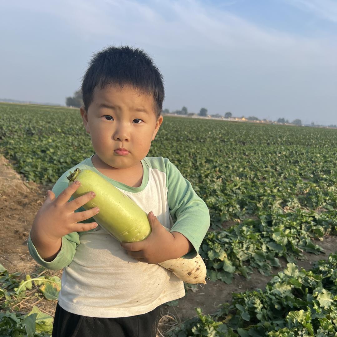 山东大帅生鲜农产品基地