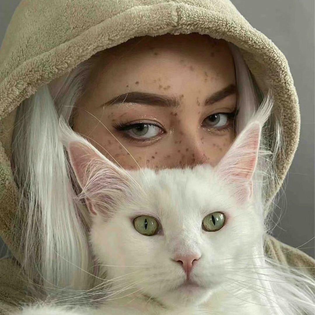可可
