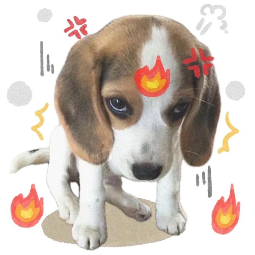 性感辣妈离异带两个小王八