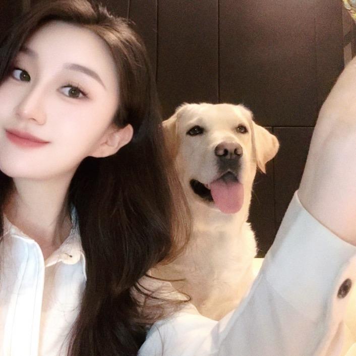 是苗苗吖
