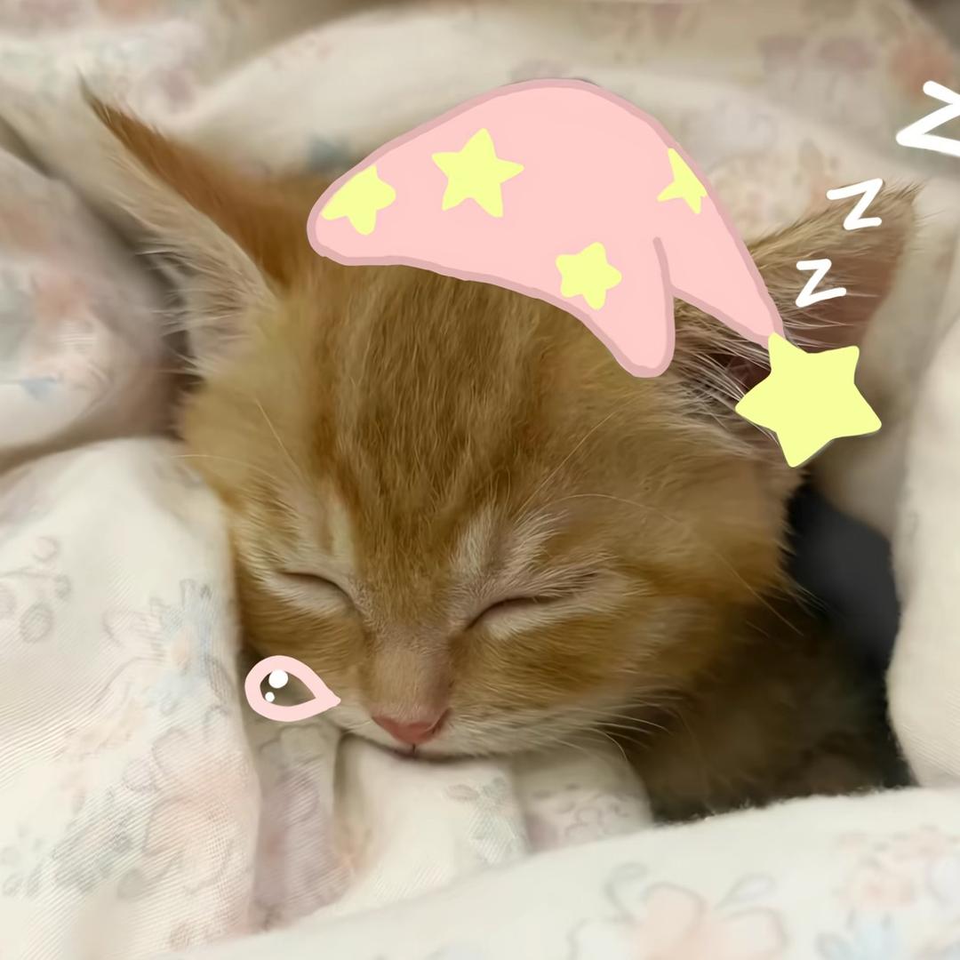 JIAaaaa