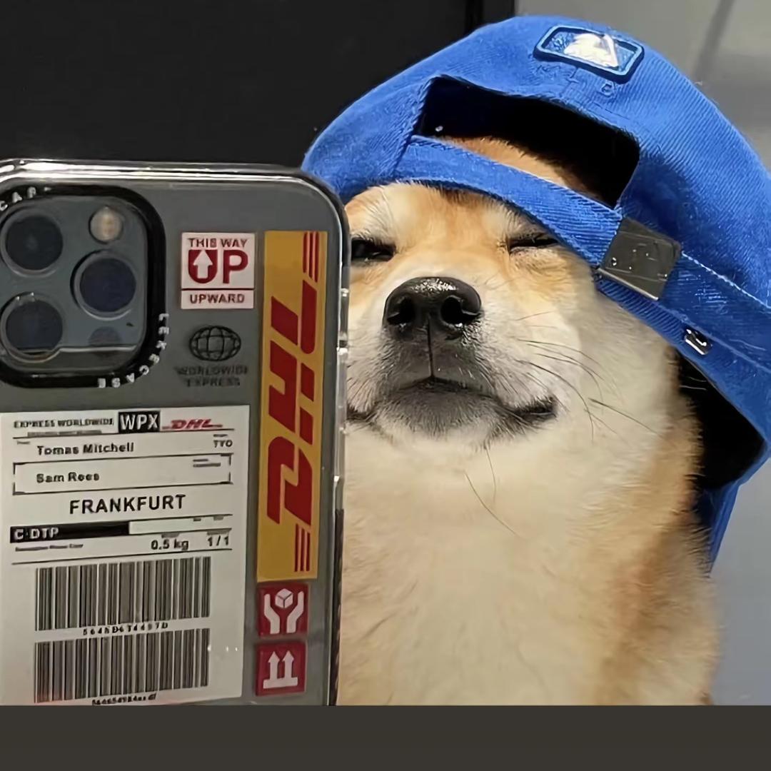 柠檬不甜