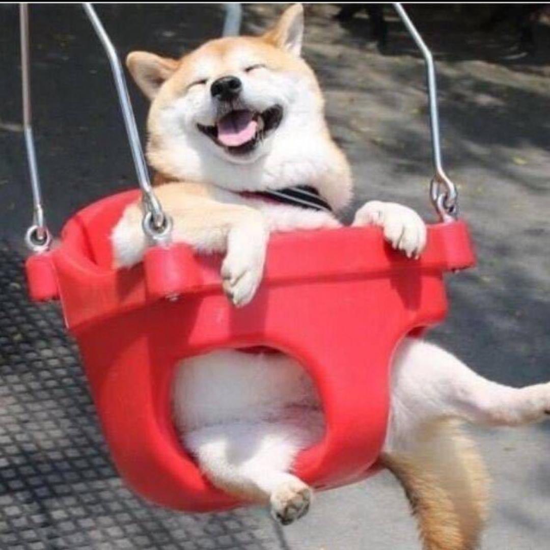 顽皮