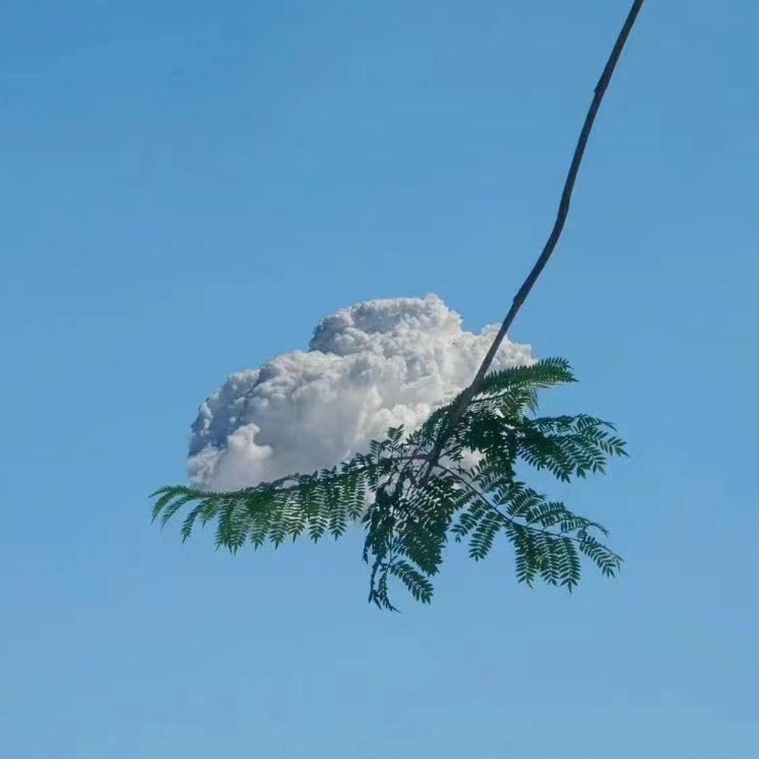 一朵白云～