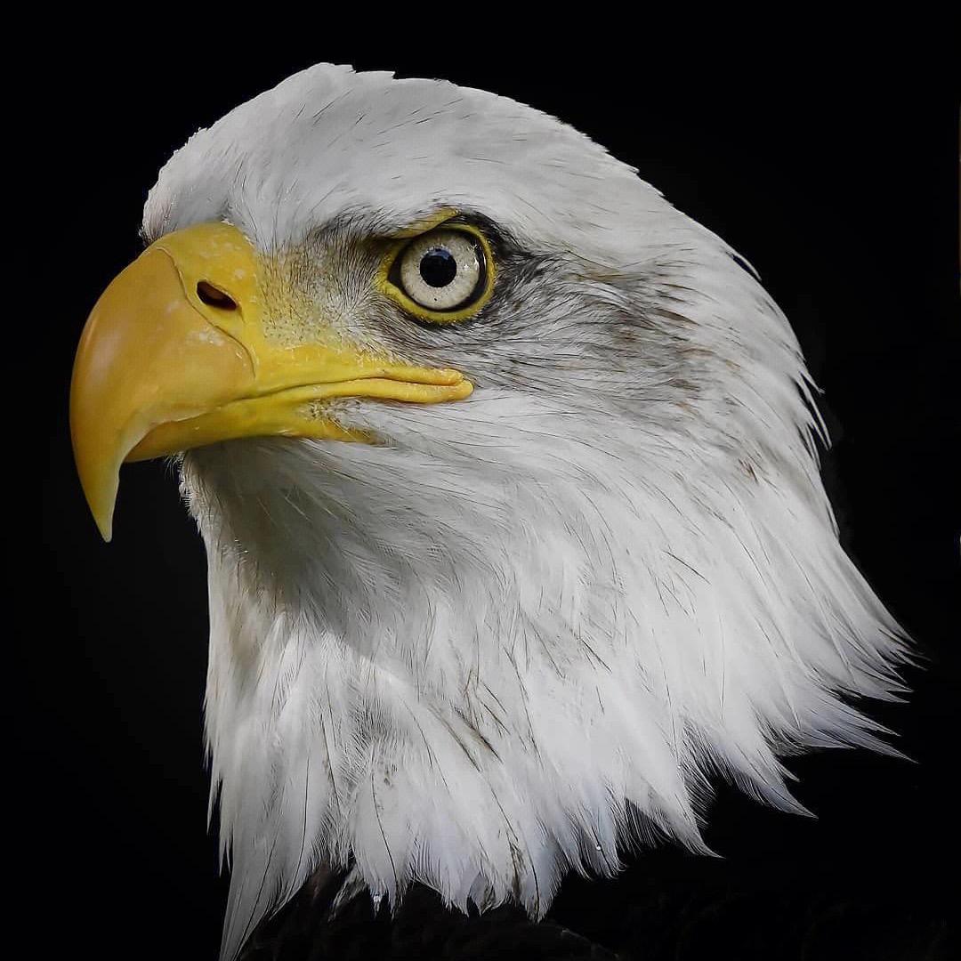 AI探索者-初一打怪