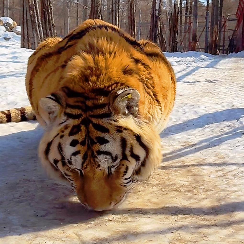 Get🐯⁶⁷