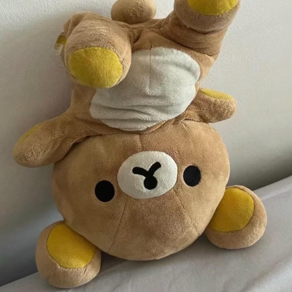小熊额头大