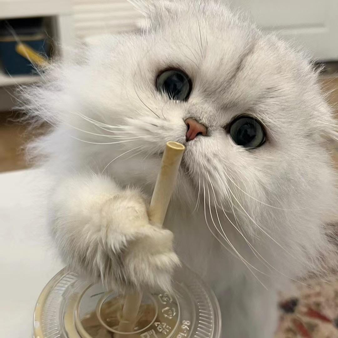 可可可什么爱
