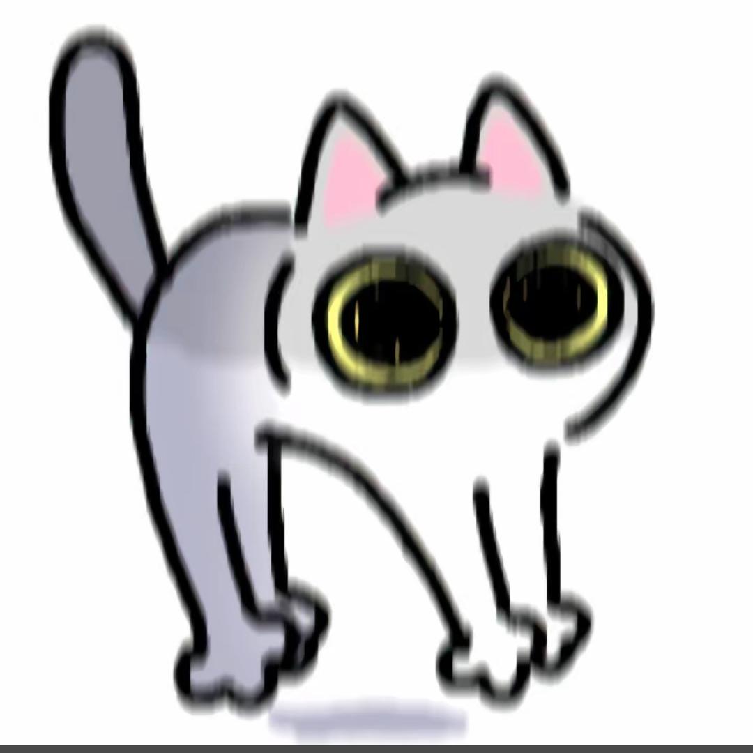 e小o猫m
