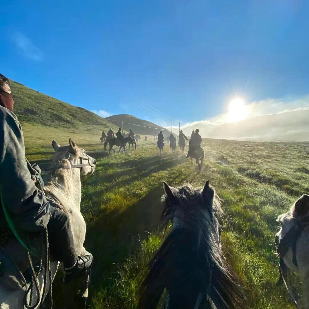 光引短视频拍摄🎬