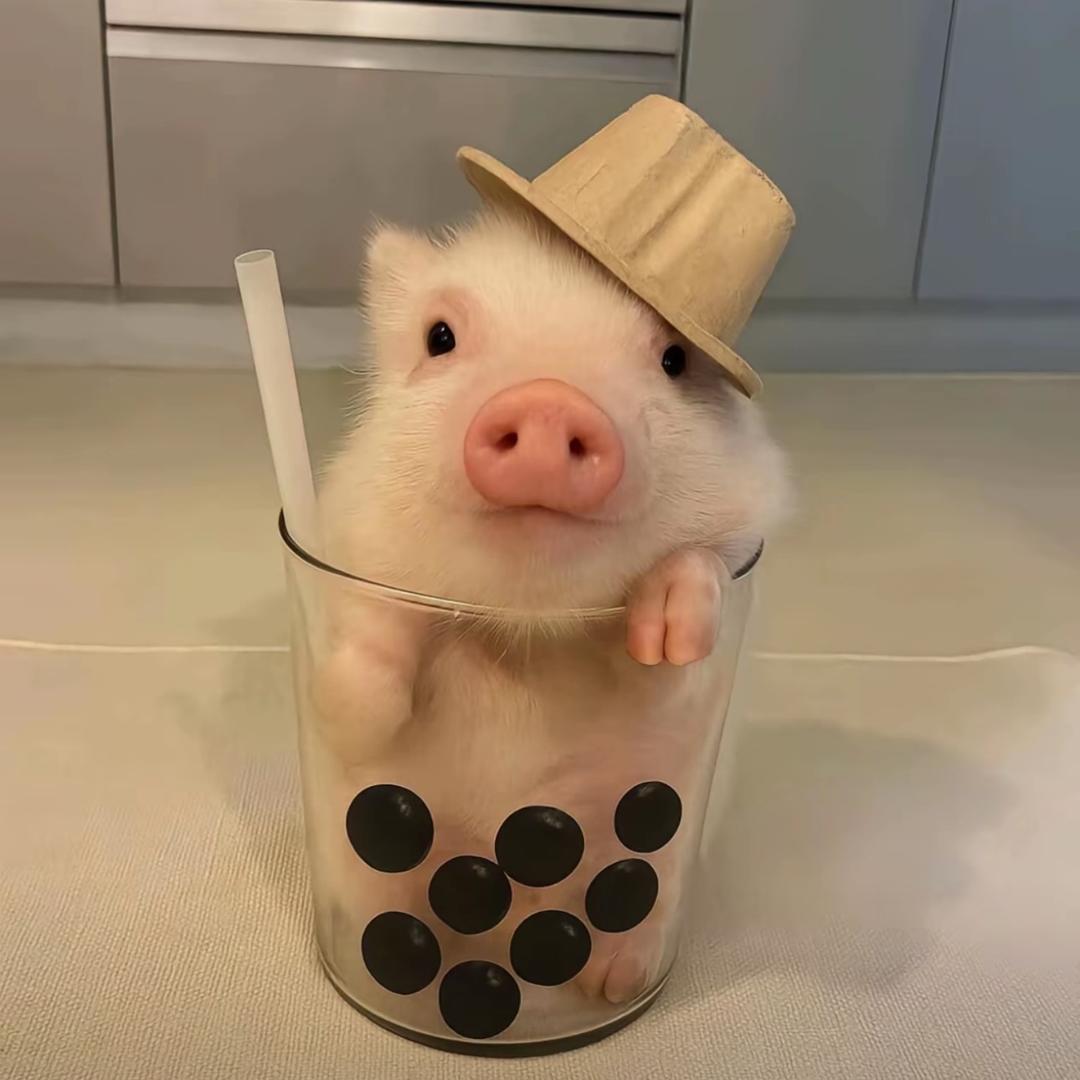 揍死你个大猪头