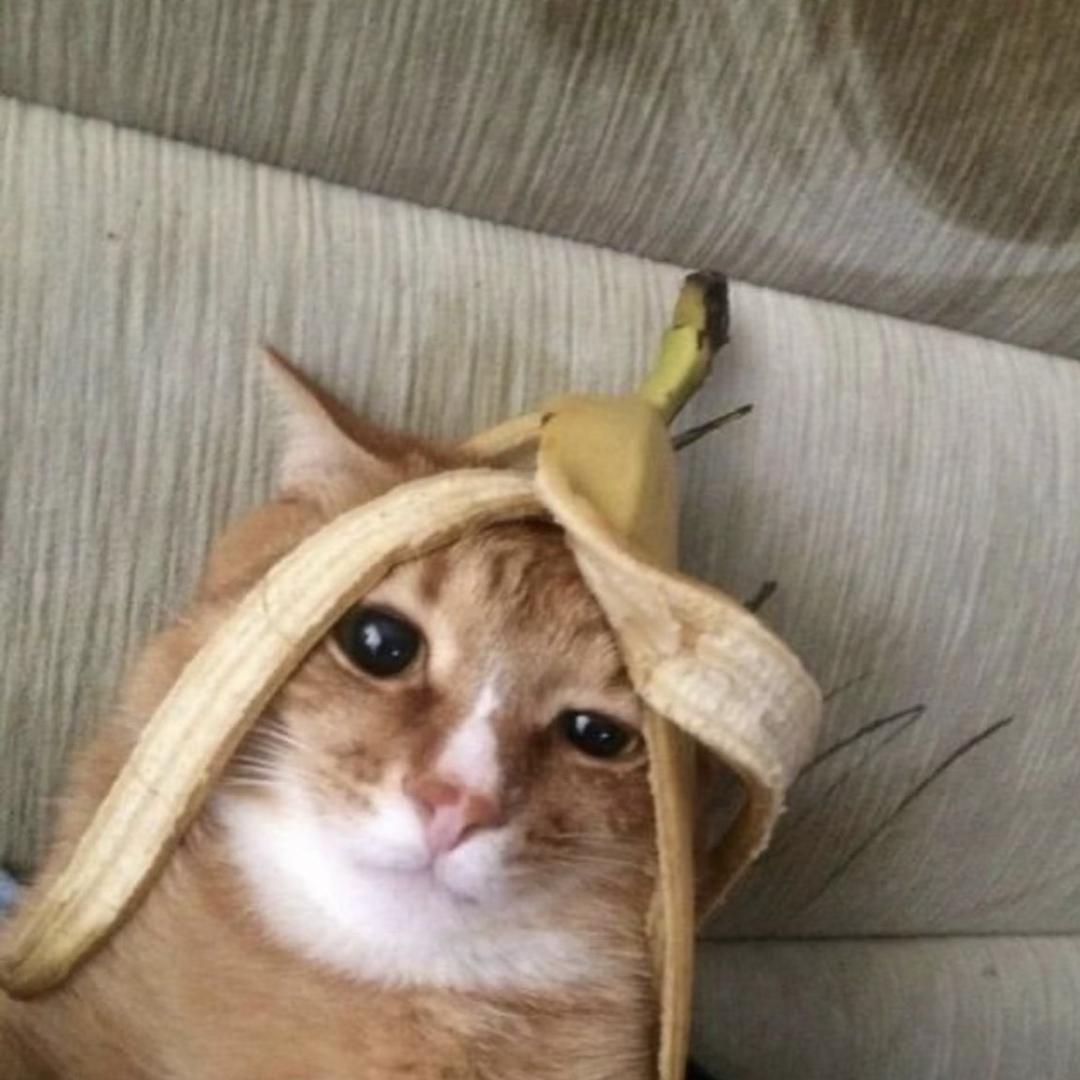 你这么想我也没办法