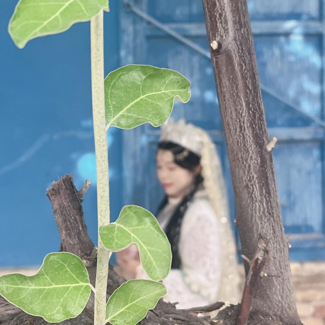 小小小🌸