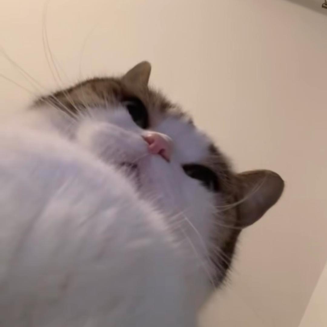 ^^