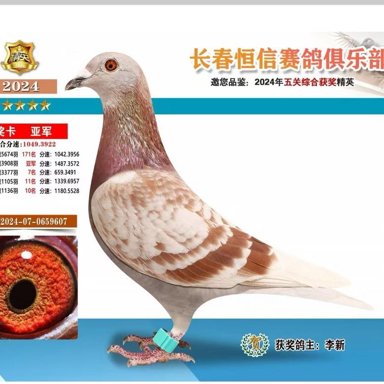 长春哈哈哈的