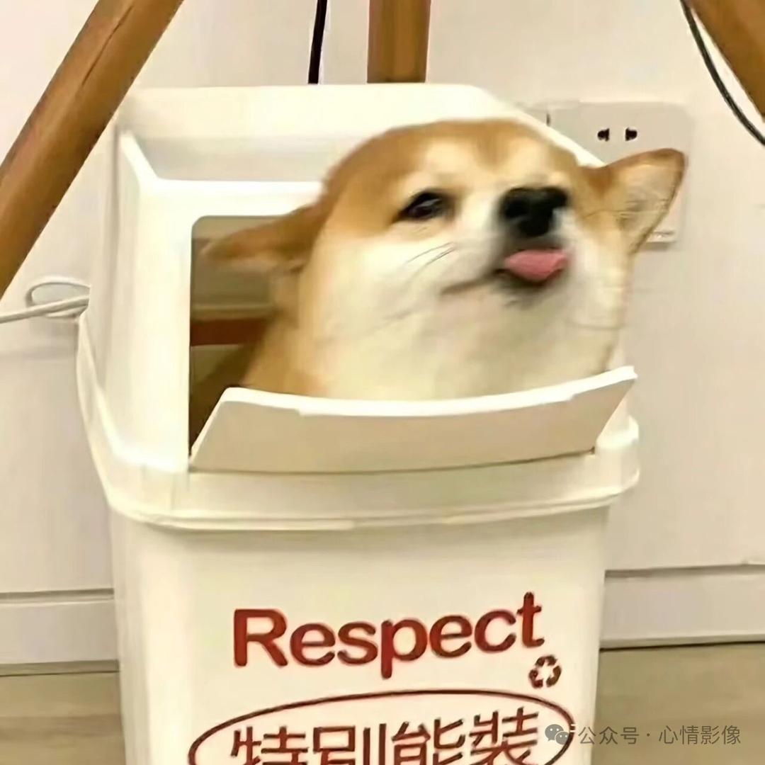 🫧