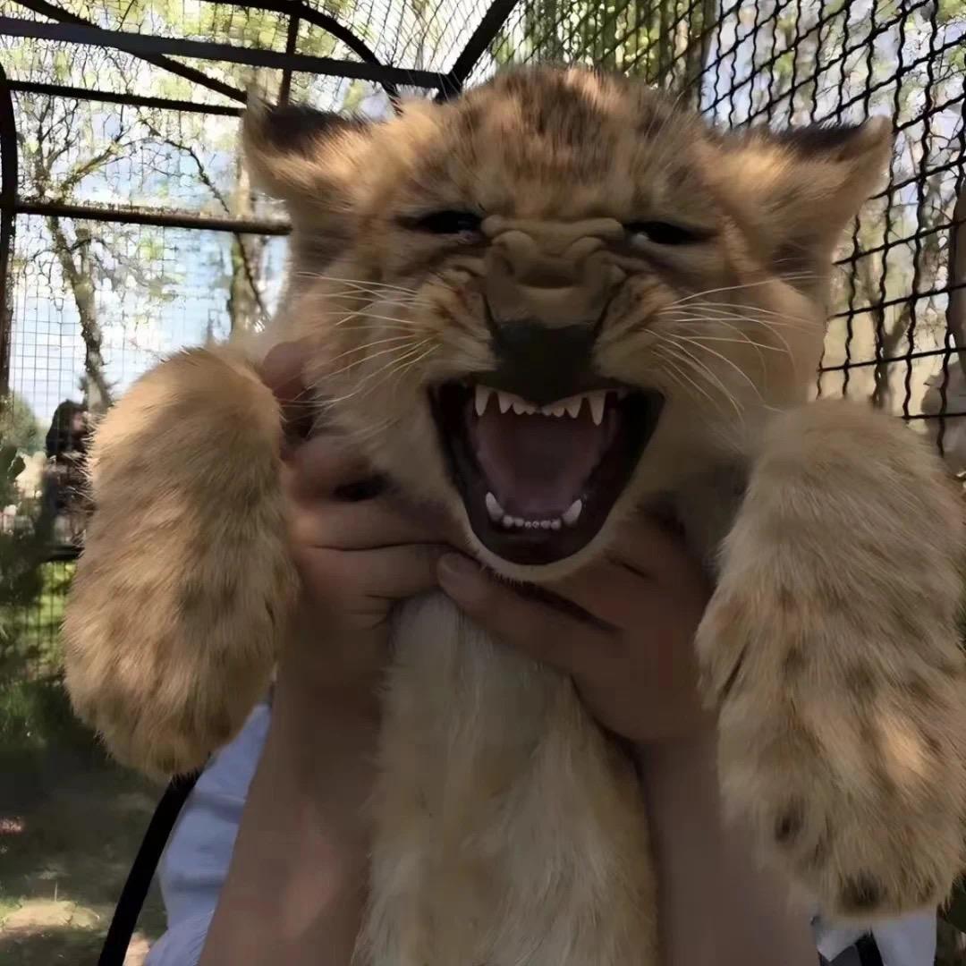 电磁阀