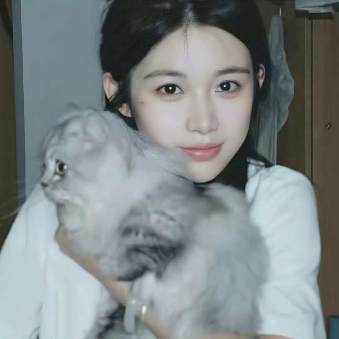 晚安aa
