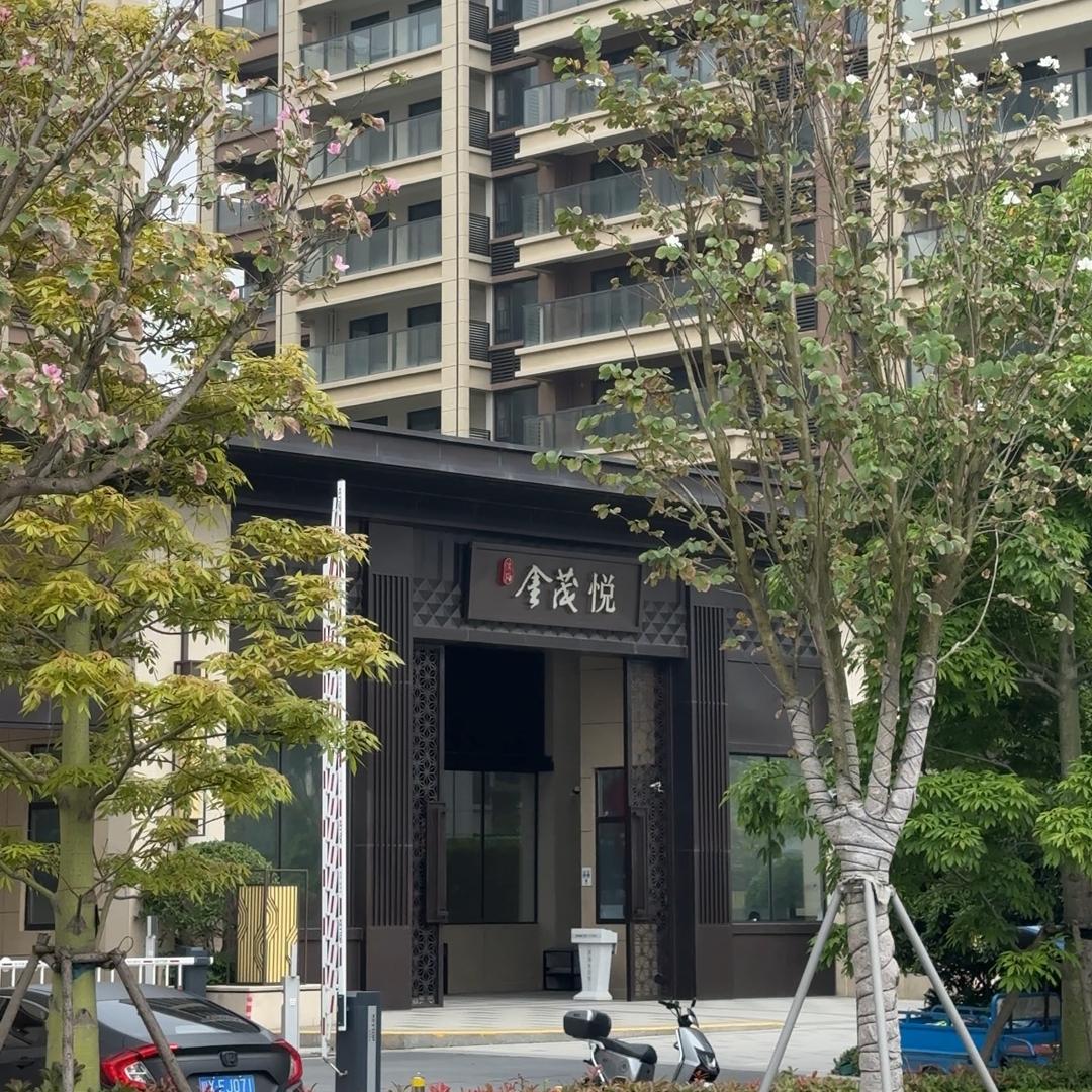 滨海金小茂